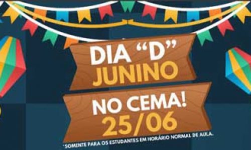 banner-festa-junina